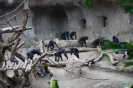 Zoo April_3
