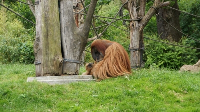 Zoo Leipzig_56