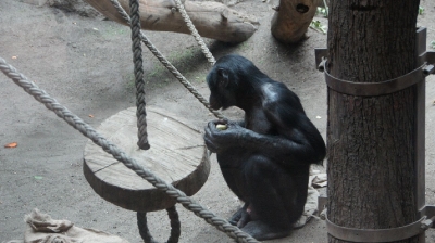 Zoo Leipzig_69