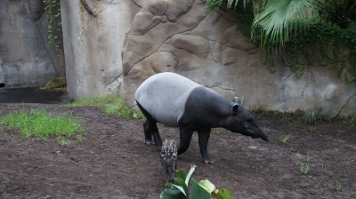 Zoo Leipzig_16
